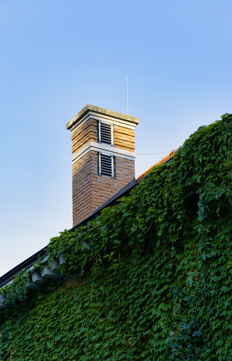 roof ventilation