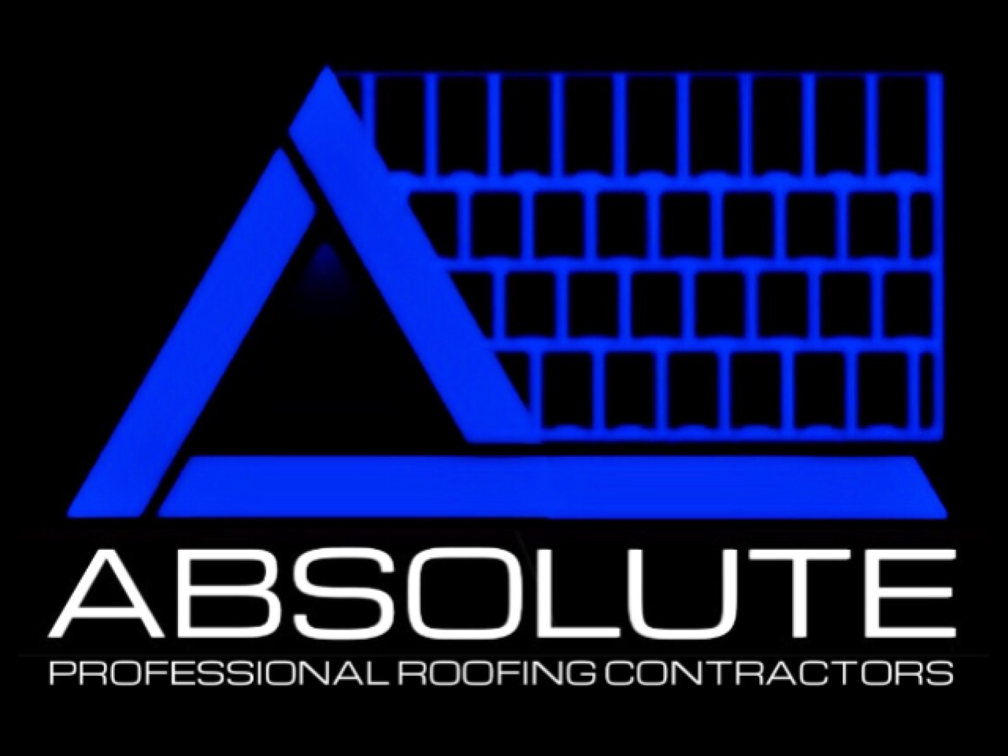 Absolute Professional Roofing